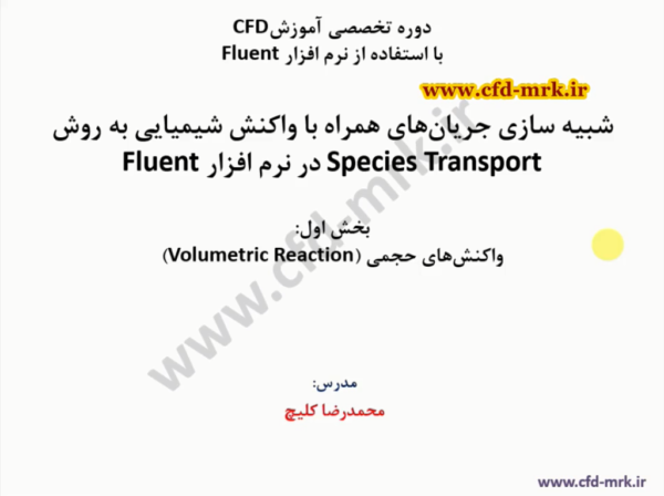 Species Transport Volumetric